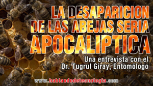 La Desaparición De LAs Abejas Sería Apocalíptica | Entrevista al Dr. Tugrul Giray, Entomólogo de la Universidad de Puerto Rico | Hablando De Tecnología con Orlando Mergal